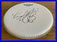 Charlie-Watts-SIGNED-Remo-Drum-Skin-Head-The-Rolling-Stones-Brand-New-01-zy
