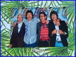 Jagger Wood Richards The Rolling Stones autographed signed 6x8 photo with COA