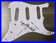 Keith-Richards-Signed-Autograph-Pickguard-Stratocaster-Guitar-Rolling-Stones-01-dv