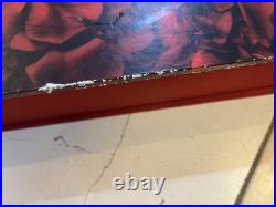 Let It Bleed Rolling Stones Ethan Russell. Limited Deluxe Ed. Signed/Numbered