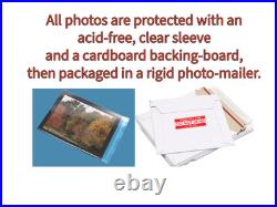 ROLLING STONES Signed 8x10 (Jagger, Richards, Wood) Original Autographs withCOA