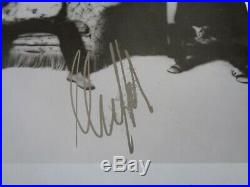 Rolling Stones Mick Taylor Autograph An Original Signed Press Photo Circa 1970